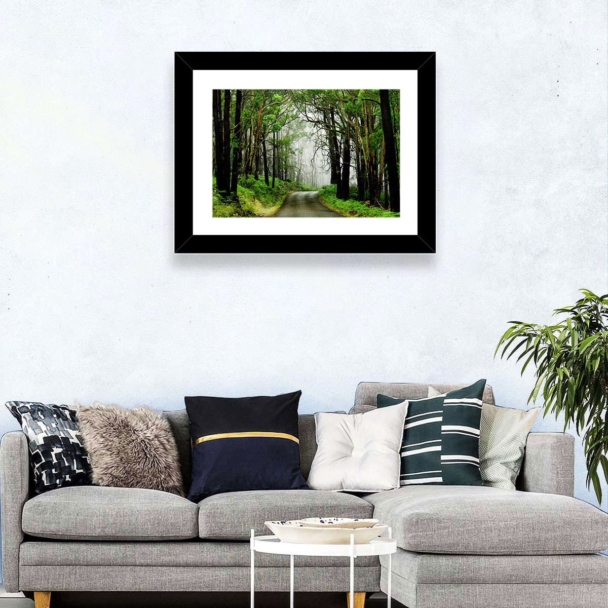 Misty Eucalyptus Road Wall Art
