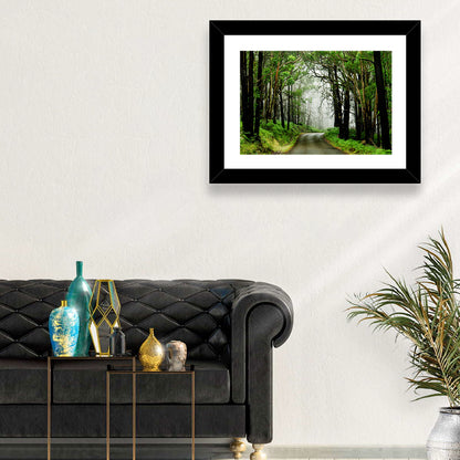 Misty Eucalyptus Road Wall Art
