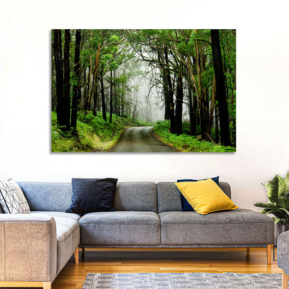 Misty Eucalyptus Road Wall Art