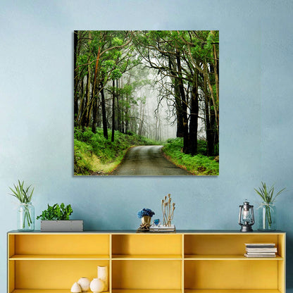 Misty Eucalyptus Road Wall Art