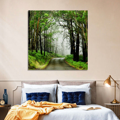 Misty Eucalyptus Road Wall Art