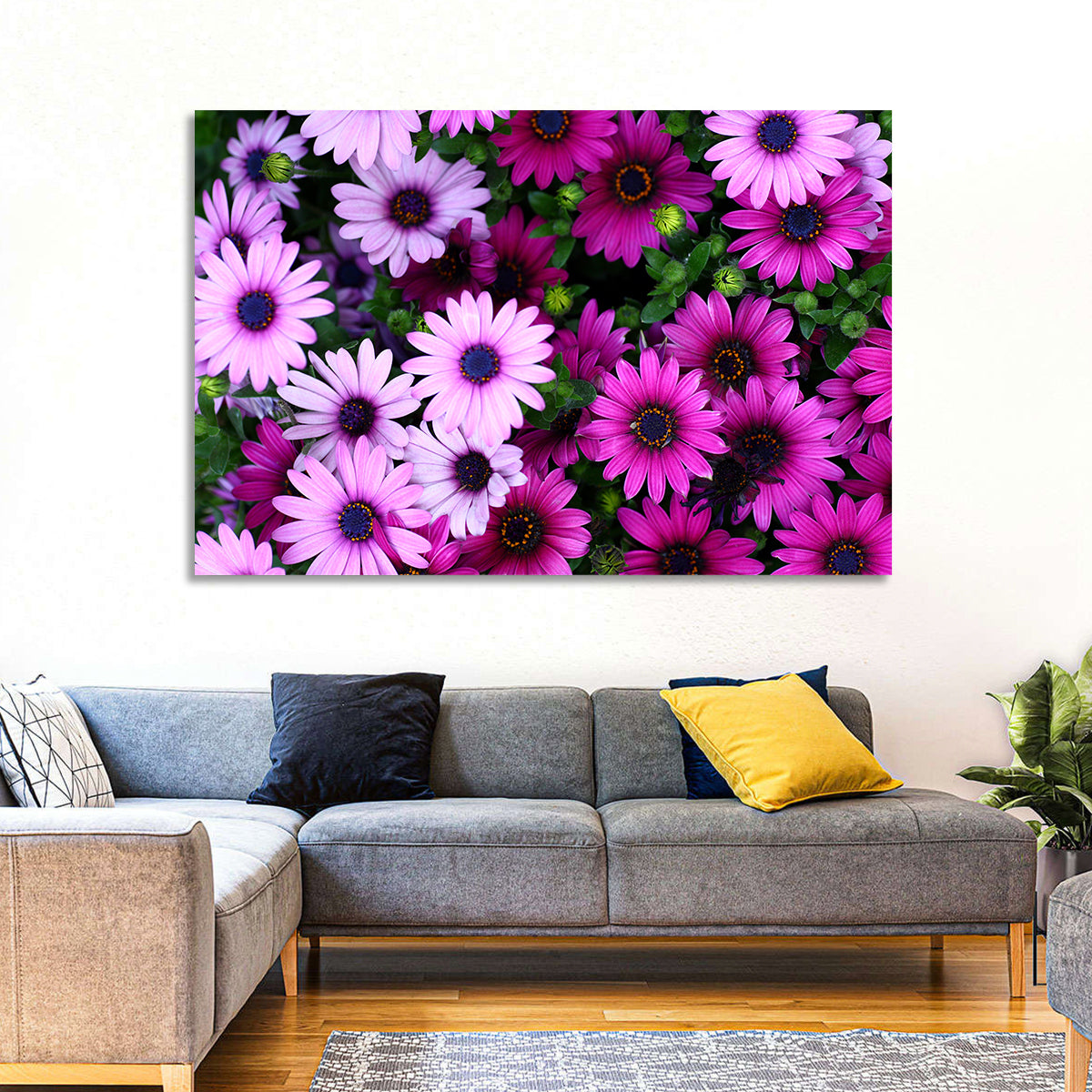 Pink and Purple Daisies Wall Art in a room, landscape
