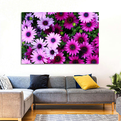 Pink and Purple Daisies Wall Art