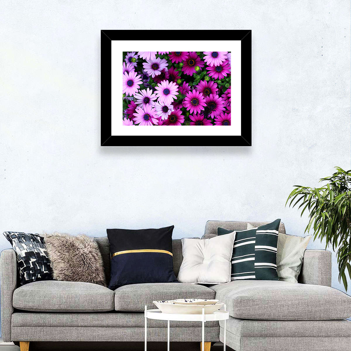 Pink and Purple Daisies Wall Art in a room, landscape