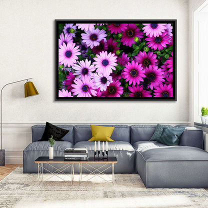 Pink and Purple Daisies Wall Art