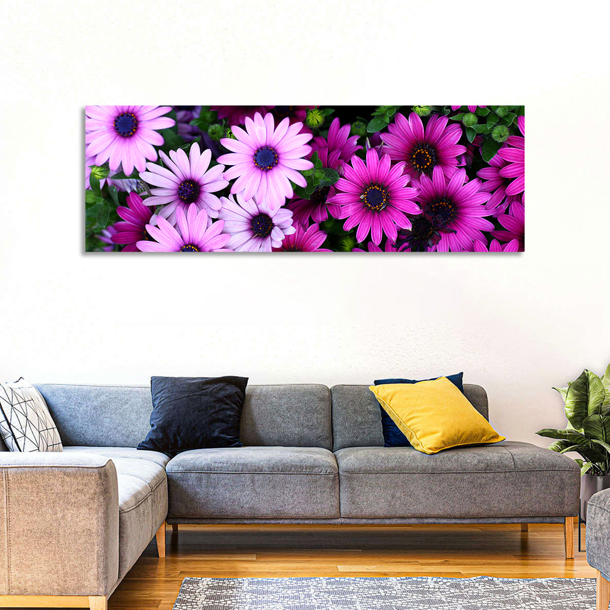 Pink and Purple Daisies Wall Art in a room, landscape