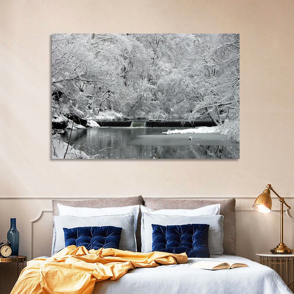 Fairmount Park Winter Spillway Wall Art