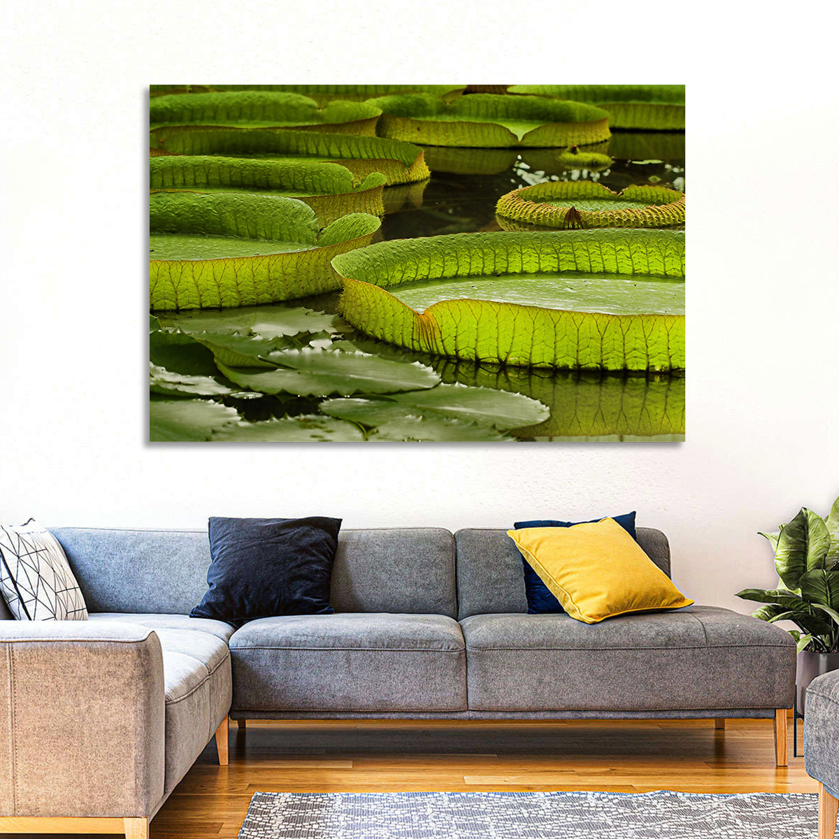 Giant Victoria Amazonica Lily Pads Wall Art in a room, landscape