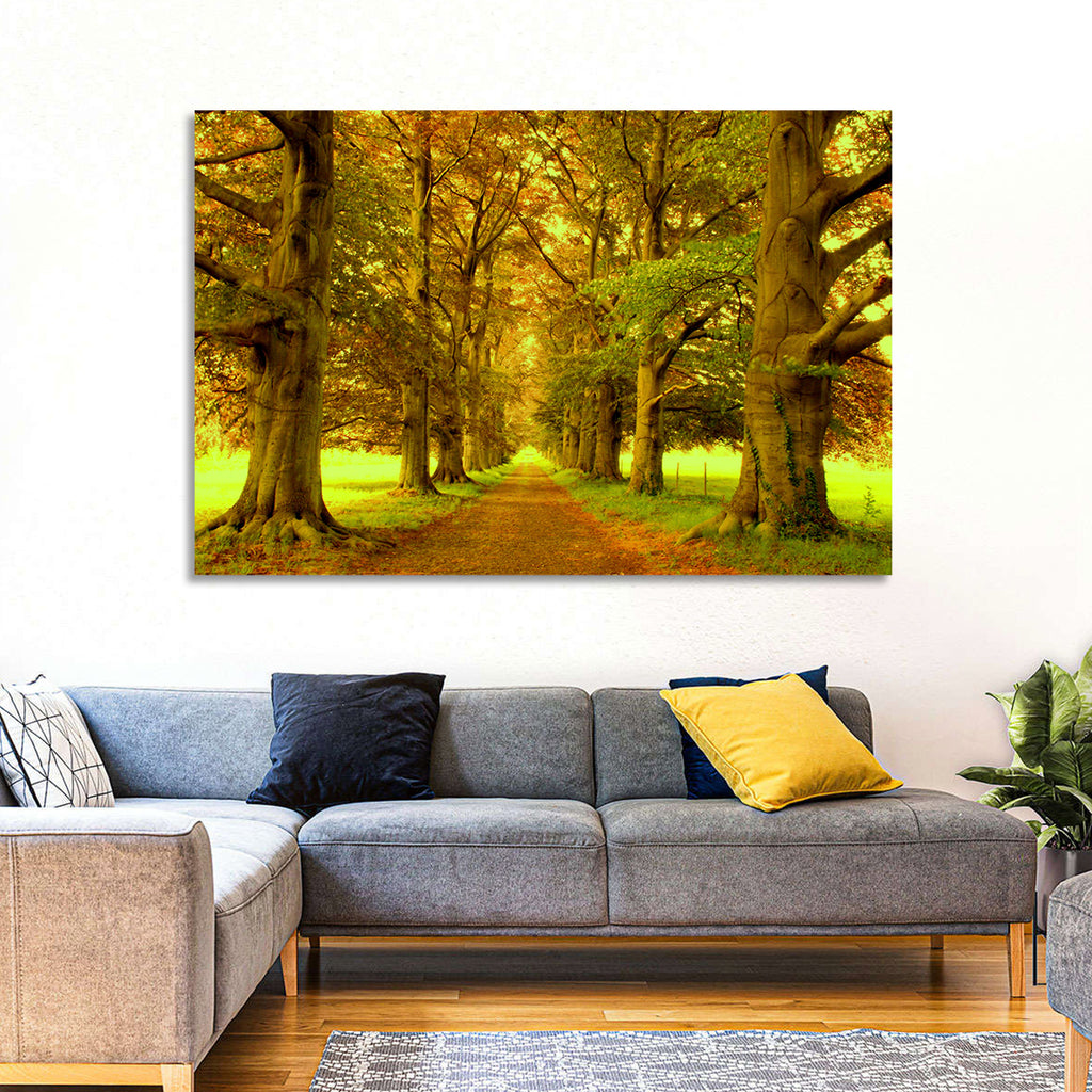 Beech Tree Lane at Golden Hour Wall Art
