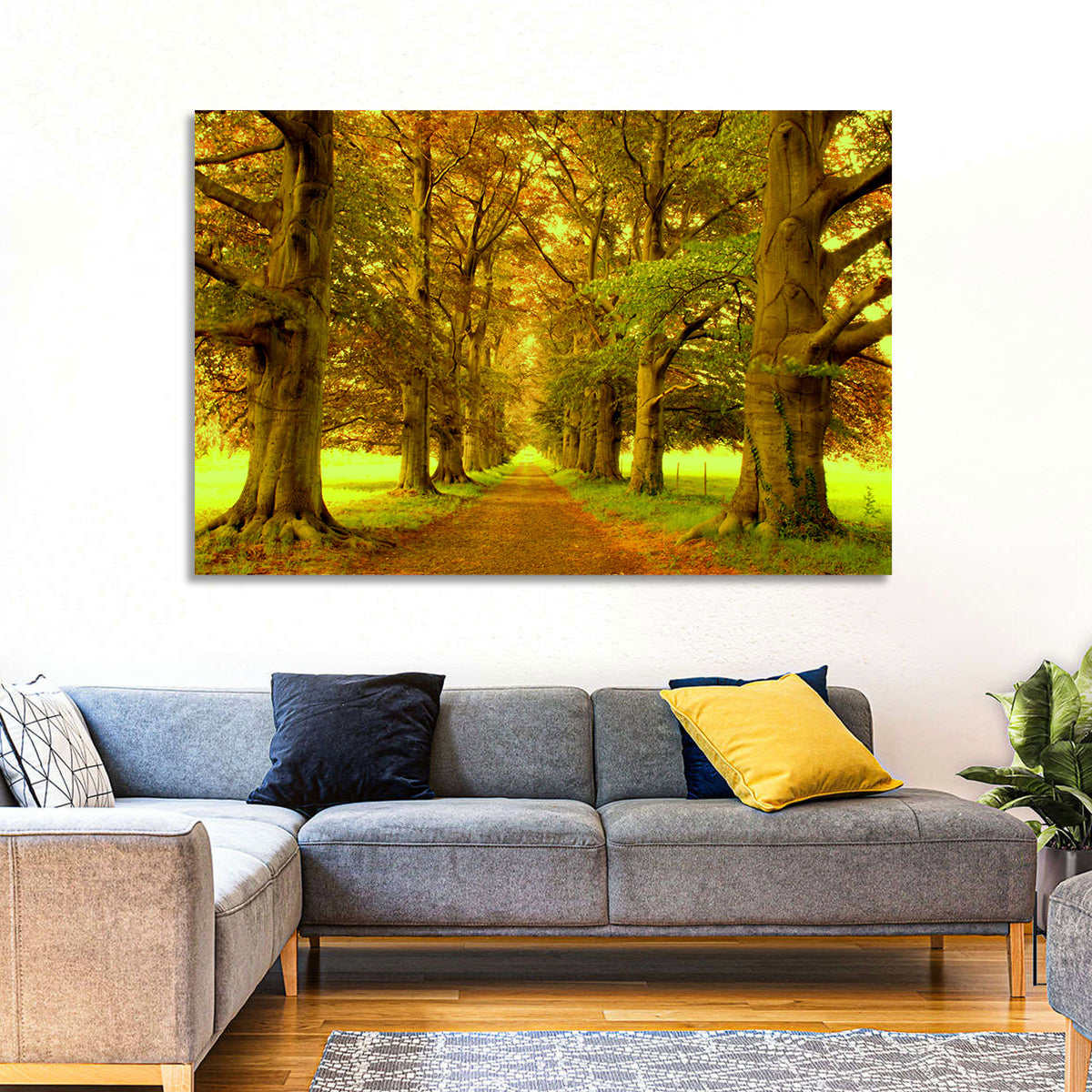 Beech Tree Lane at Golden Hour Wall Art