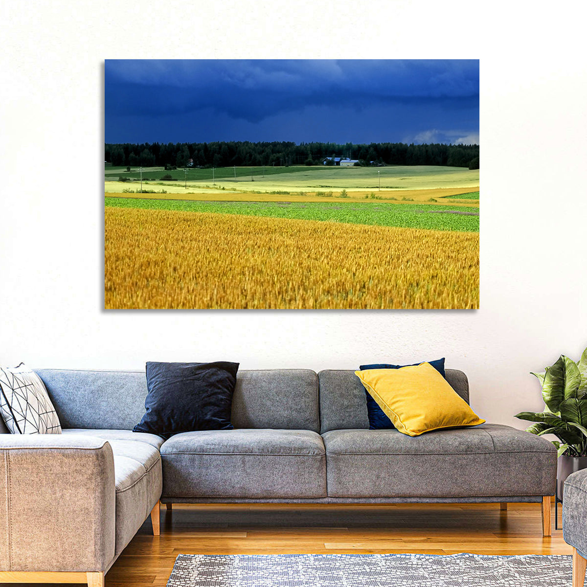 Cornfields Under Stormy Sky Wall Art