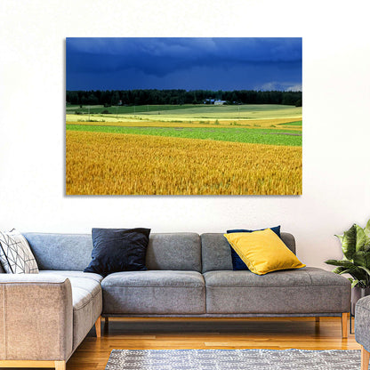 Cornfields Under Stormy Sky Wall Art