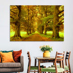Beech Tree Lane at Golden Hour Wall Art