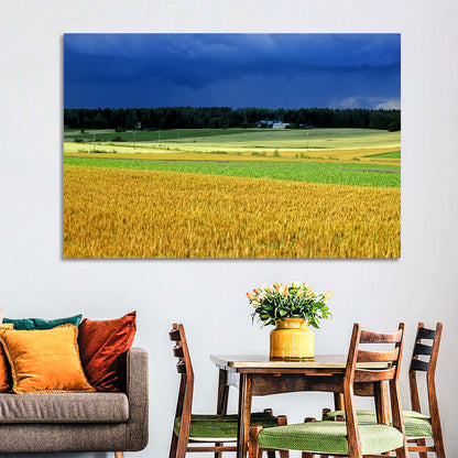 Cornfields Under Stormy Sky Wall Art