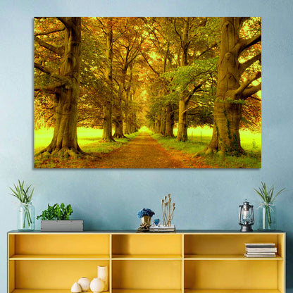 Beech Tree Lane at Golden Hour Wall Art