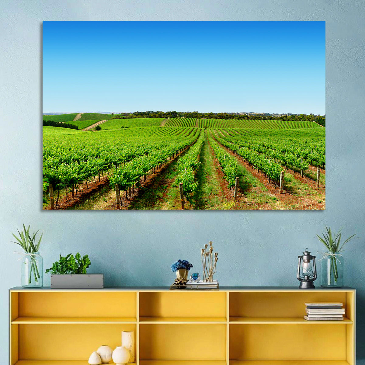 Sunlit Vineyard Rows Wall Art