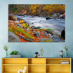 Golden Autumn Forest Creek Wall Art