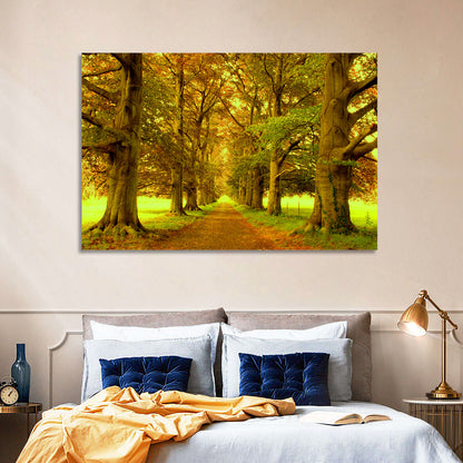 Beech Tree Lane at Golden Hour Wall Art