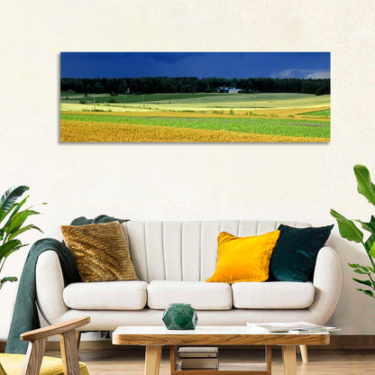 Cornfields Under Stormy Sky Wall Art