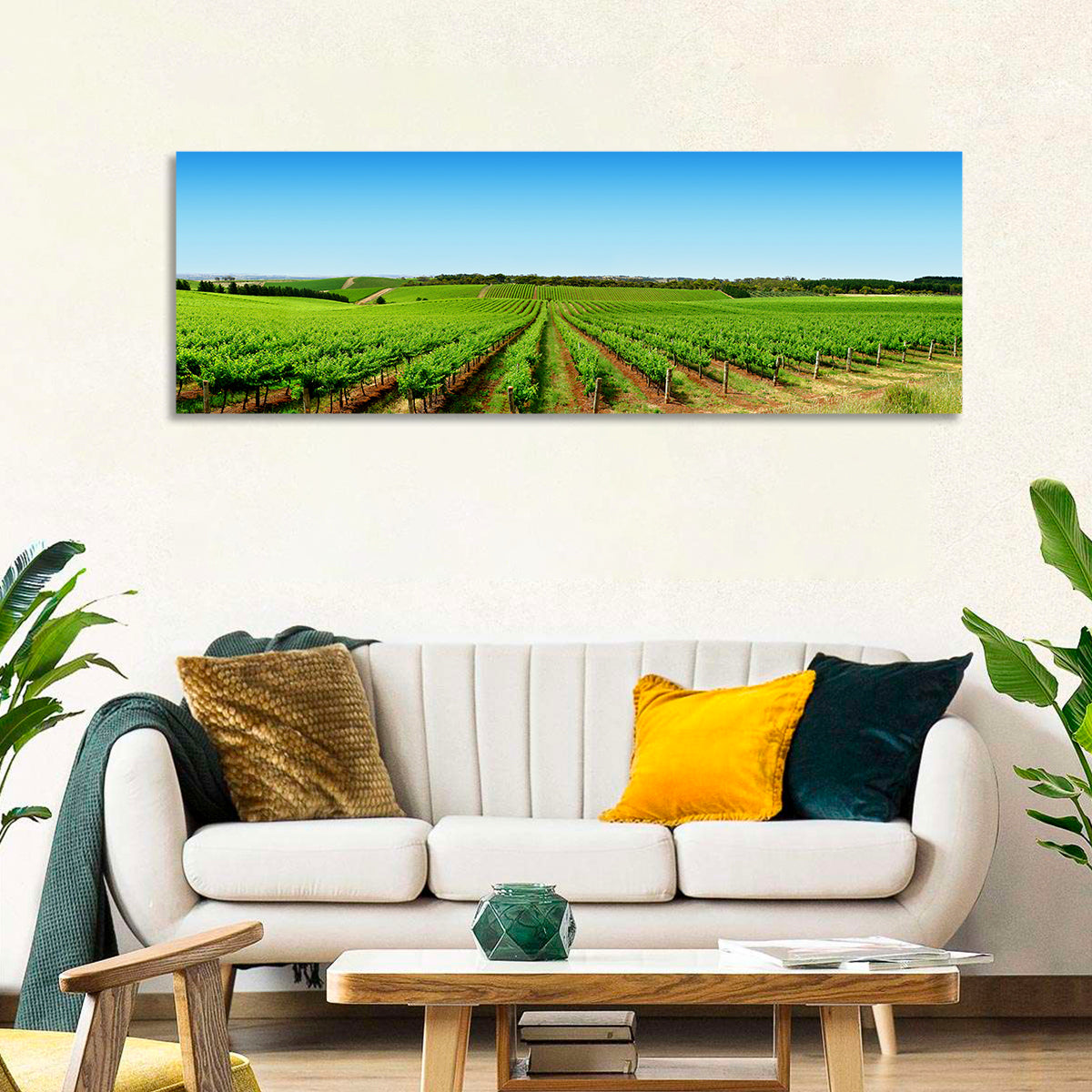 Sunlit Vineyard Rows Wall Art