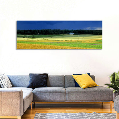 Cornfields Under Stormy Sky Wall Art