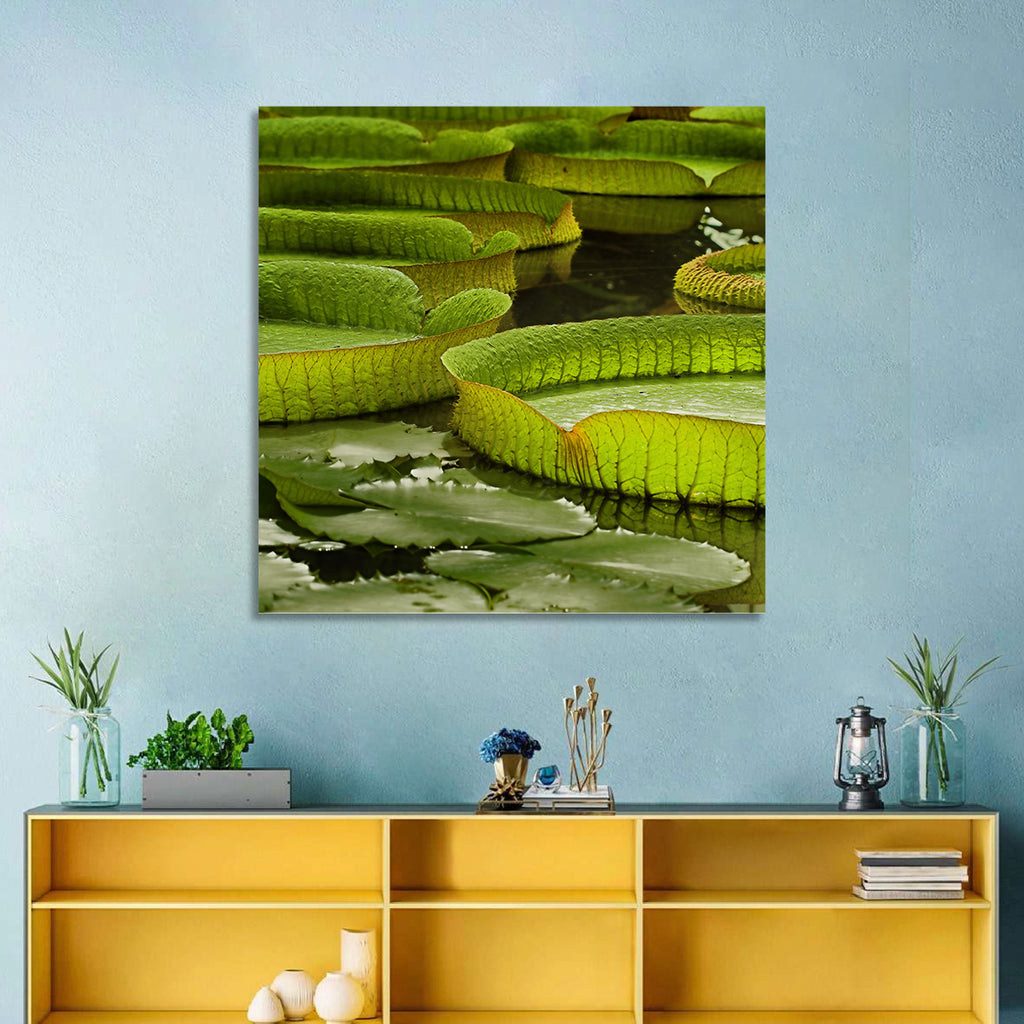 Giant Victoria Amazonica Lily Pads Wall Art