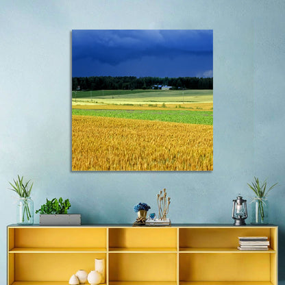 Cornfields Under Stormy Sky Wall Art