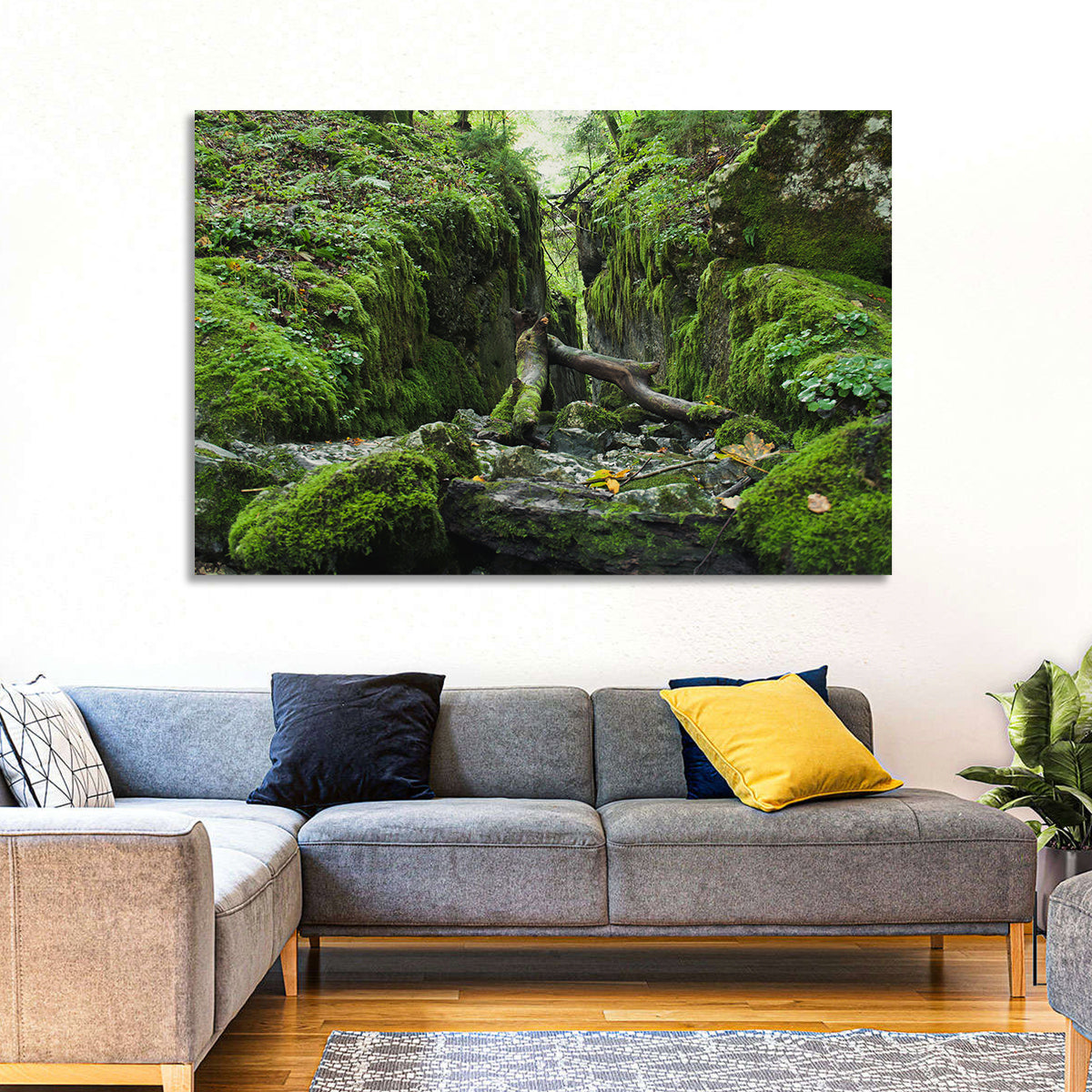 Kammersee Mossy Cleft Wall Art in a room, landscape