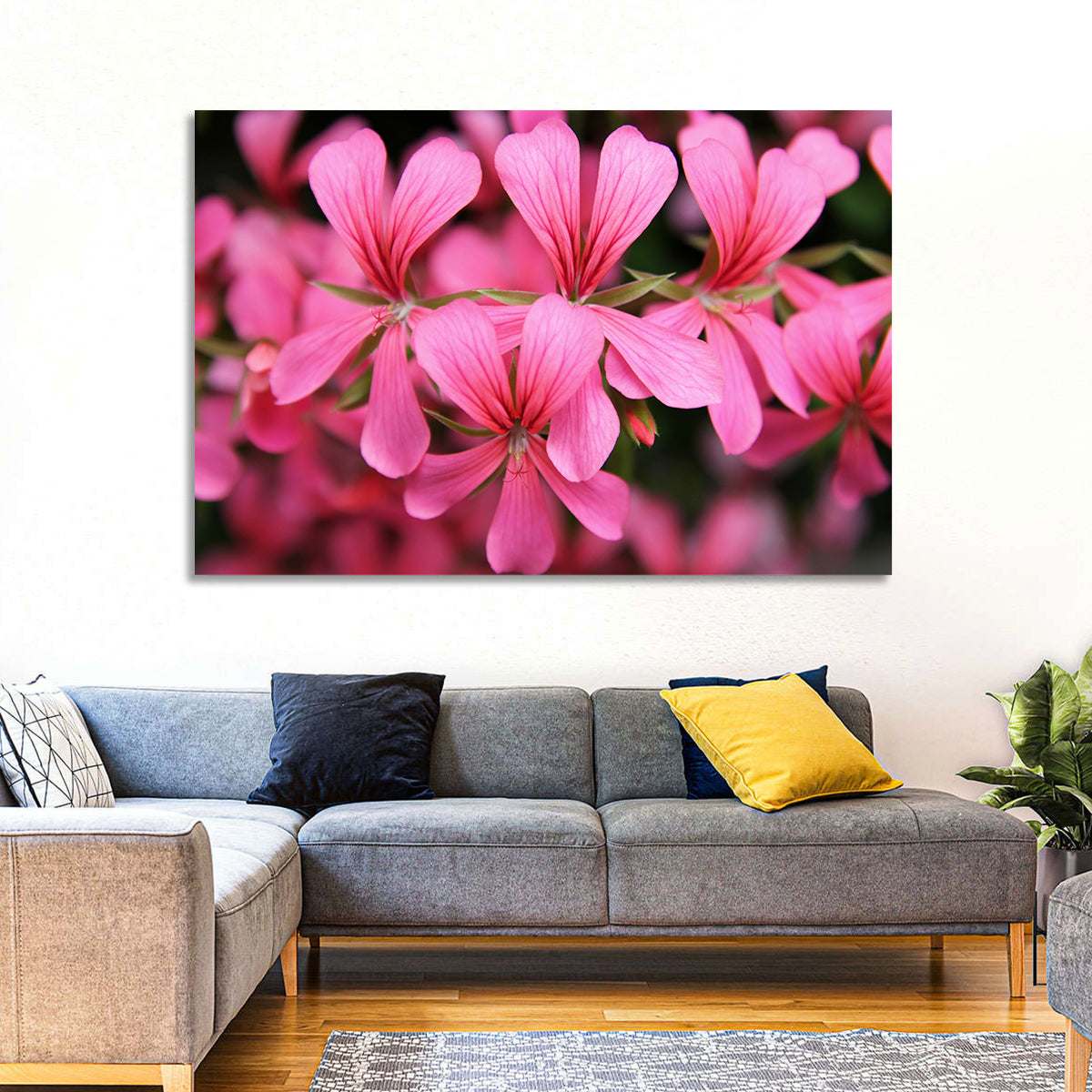 Pink Geranium Close Up Wall Art in a room, landscape