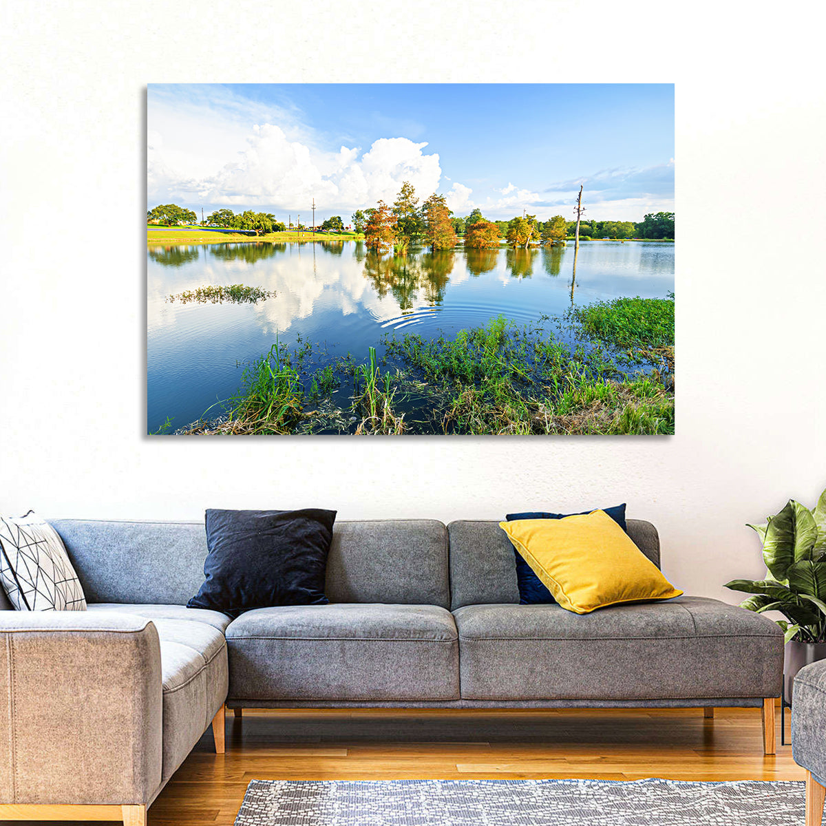 Lafayette Bayou Reflection Wall Art in a room, landscape