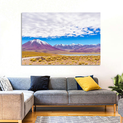 Lascar Snow-capped Volcano Wall Art