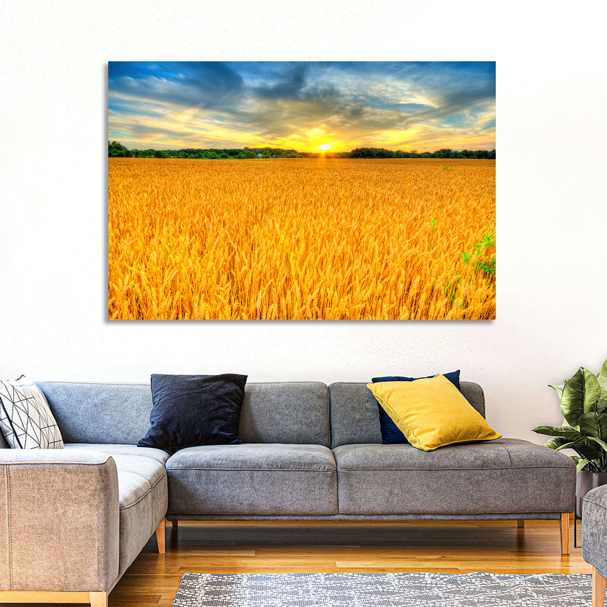 Wheat Field Sunset Wall Art in a room, landscape