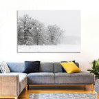Snow-covered Trees in Fog Wall Art