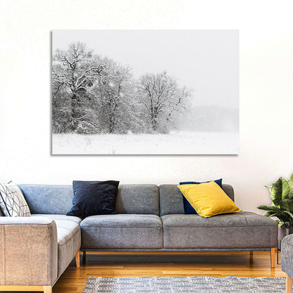 Snow-covered Trees in Fog Wall Art