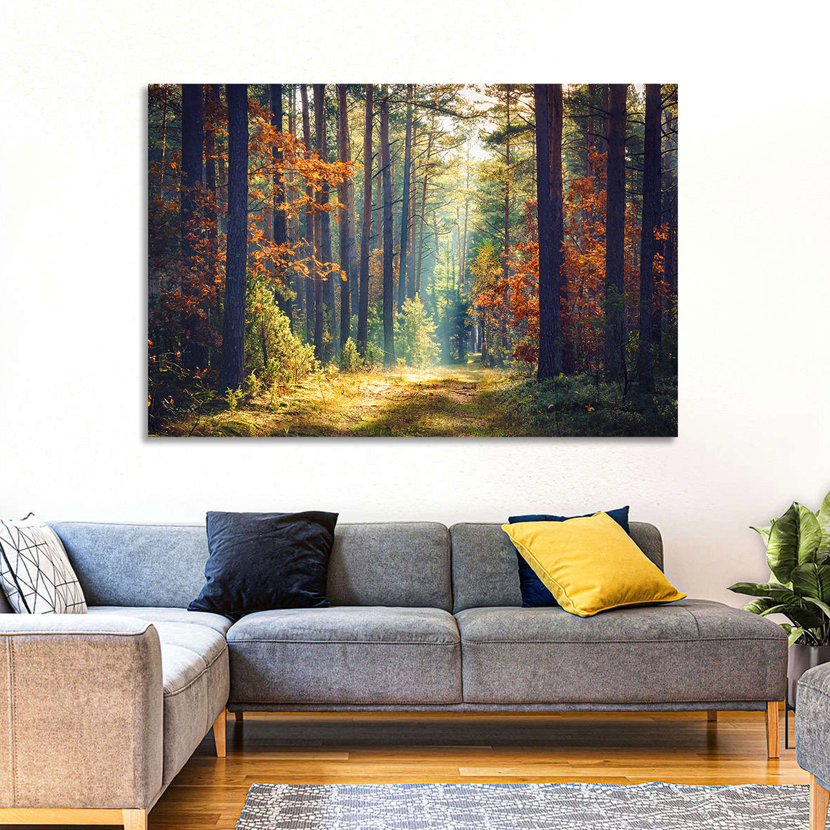 Sunlit Autumn Pine Forest Wall Art in a room, landscape