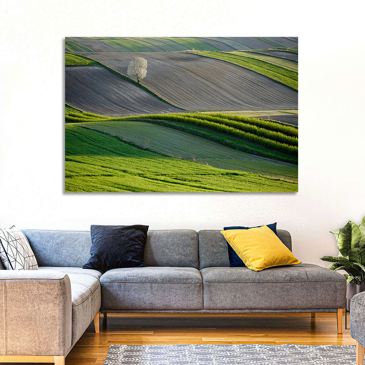 Springtime Polish Fields Wall Art in a room, landscape
