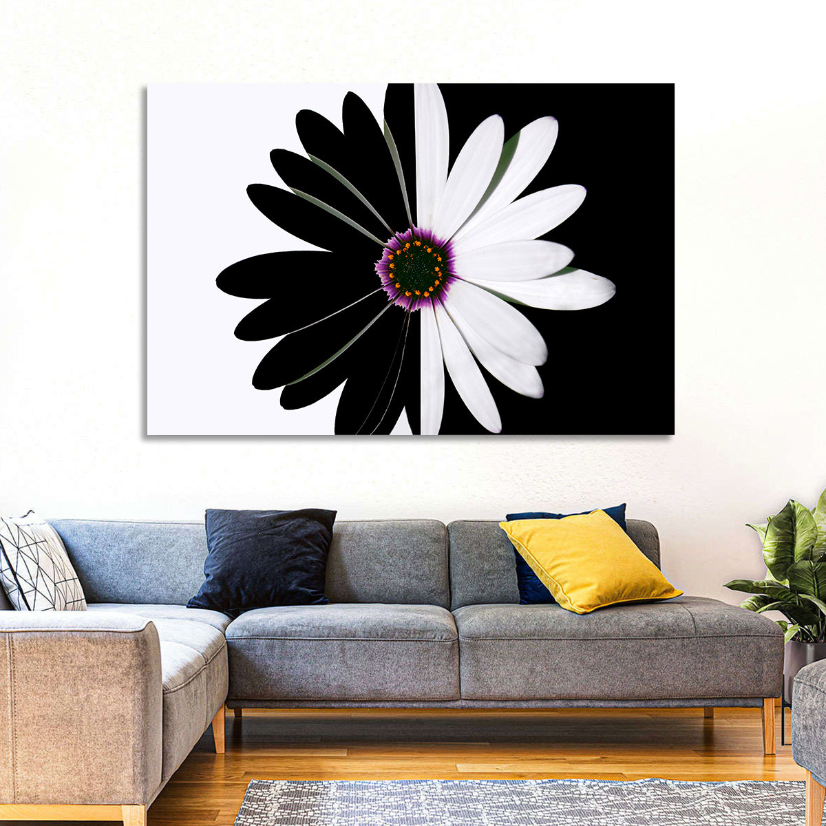 Black and White Daisy with Purple Ring Wall Art