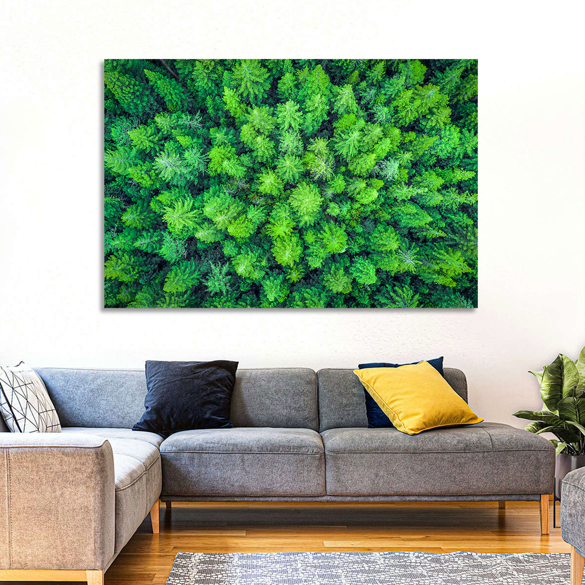 Whakarewarewa Forest Canopy Wall Art in a room, landscape