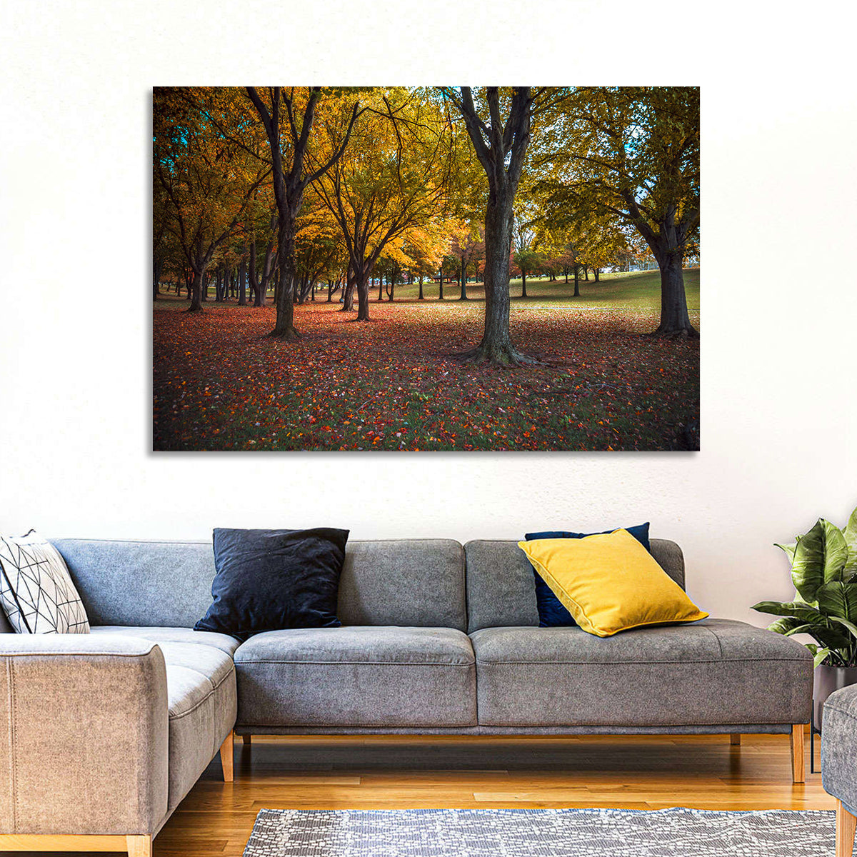 Autumn Park Trees, Pennsylvania Wall Art in a room, landscape