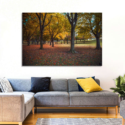 Autumn Park Trees, Pennsylvania Wall Art