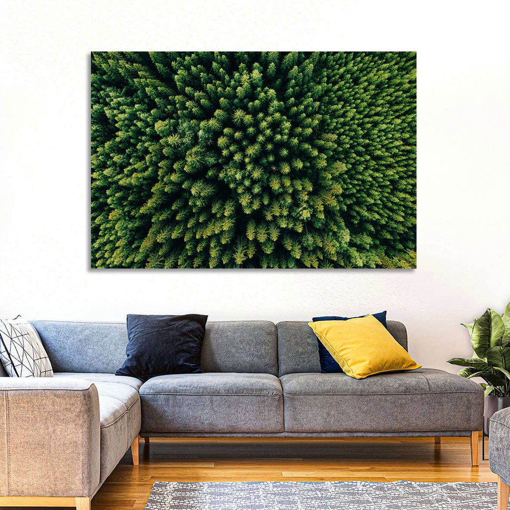 Aerial Conifer Canopy Wall Art