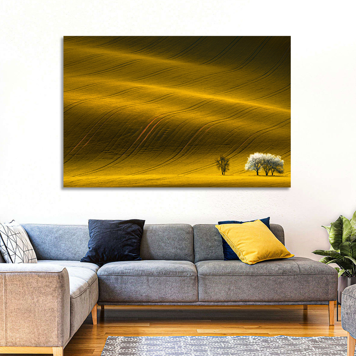 Golden Hour Rapeseed Field Wall Art in a room, landscape