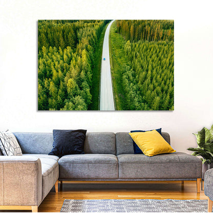 Blue Car on Forest Road Wall Art
