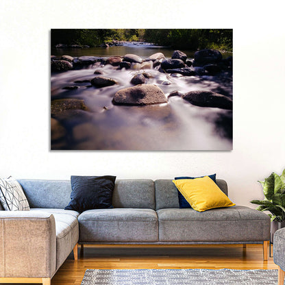 Truckee River Sunlit Rocks Wall Art