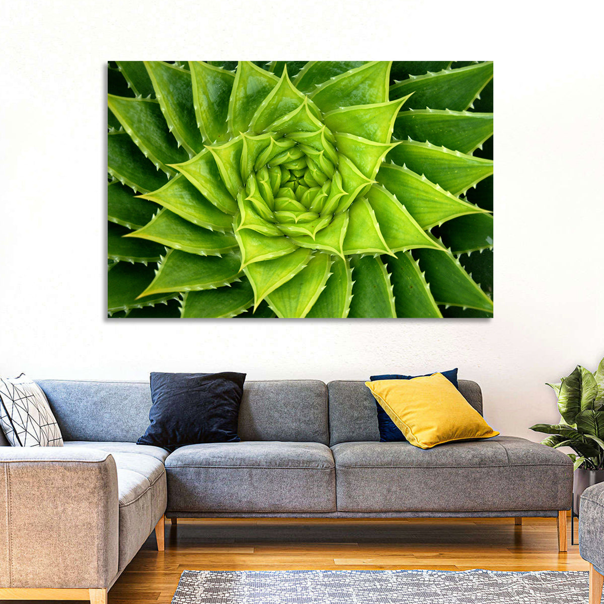 Spiral Aloe Succulent Wall Art