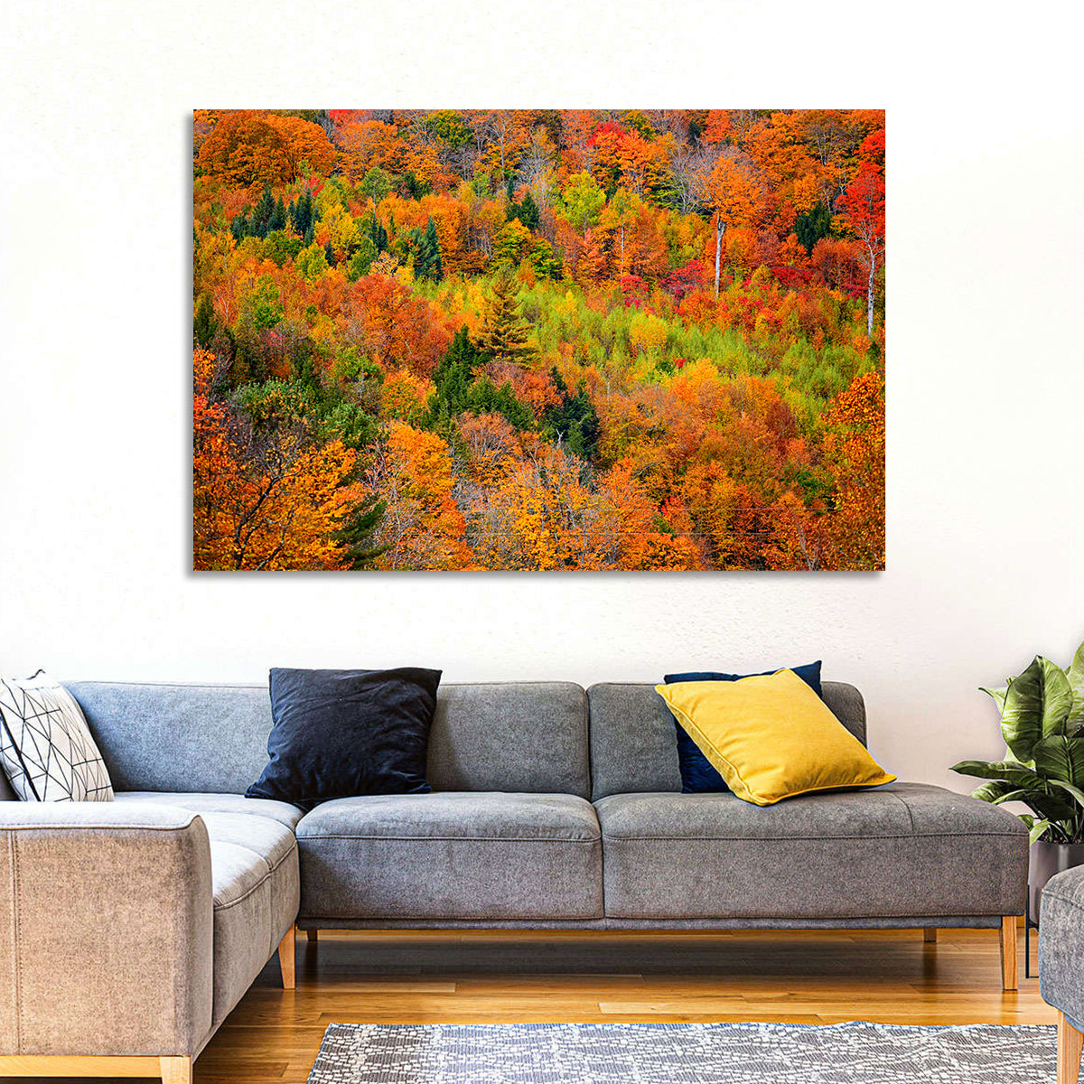 Vermont Autumn Mountain Forest Wall Art in a room, landscape