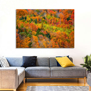 Vermont Mountains Foliage Wall Art