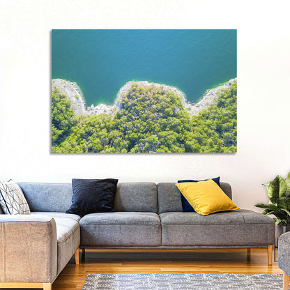 Lake Travis Shoreline Aerial Wall Art