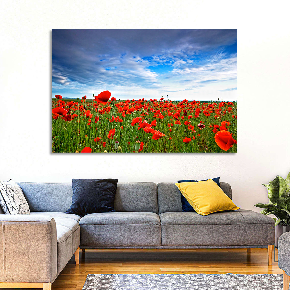 Red Poppy Field Wall Art