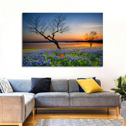 Texas Bluebonnet Sunset Wall Art